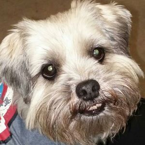 Meet your Posher, Robin